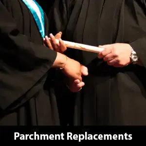 Explore Parchment Replacements