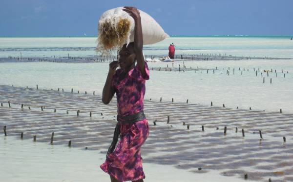 Through Global Lens winner announced